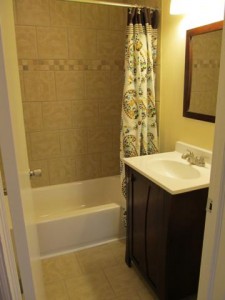 hall bathroom after_360x480