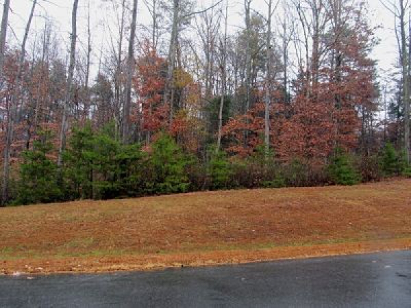 2-sanctuary lot